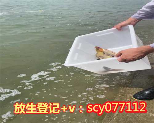 滁州那里有放生法会,滁州给鱼放生要说些什么话,滁州放生一次放多少钱
