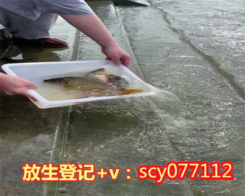 漳州陆龟在哪放生，漳州何地可以放生河蚌，漳州有放生的地方吗现在